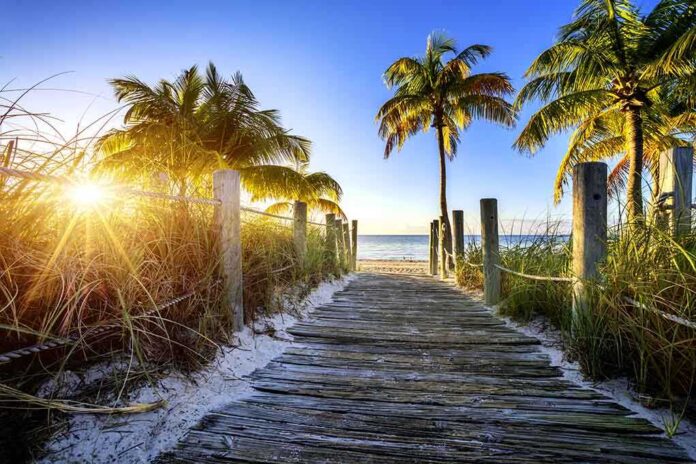 Wooden pathway leading to a beach with palm trees and a sunset
