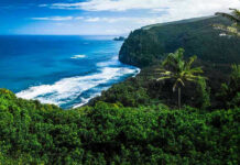 Beautiful coastal landscape with lush greenery and ocean waves.