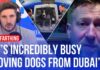 Stranded dogs in Dubai: What's the situation