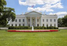 The White House with a fountain and flower beds in front
