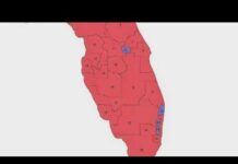 DeSantis reveals new Florida congressional map image