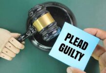 A wooden gavel next to a hand holding a blue card that says 'PLEAD GUILTY'