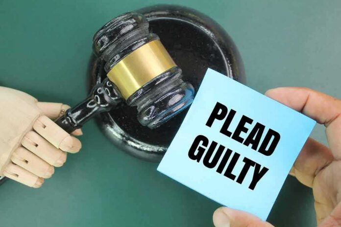 A wooden gavel next to a hand holding a blue card that says 'PLEAD GUILTY'