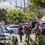 Mosque Massacre LIVE-STREAMED: Chilling Truth Unveiled Mother of San Diego shooting suspect reported her son and guns missing, police say