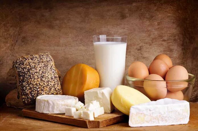 shutterstock_102461903 Assorted dairy products including cheese, milk, and eggs on a wooden surface