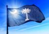 SHOCKING Murdaugh Verdict Overturned—What’s Next? South Carolina state flag waving against a blue sky