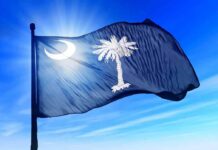 SHOCKING Murdaugh Verdict Overturned—What’s Next? South Carolina state flag waving against a blue sky