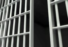 Close-up view of metal prison bars in a dark environment