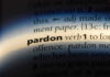 Biden-Era Bust, Trump Pardon Twist The word pardon highlighted in a dictionary.