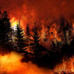 Largest Wildfire—Blamed On “Human Causes” Trees burning in a forest fire at night.