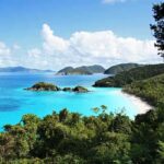 Wife Gone. His Coordinates Don’t Match. Scenic view of a tropical beach with clear blue water and lush greenery