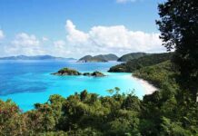 Scenic view of a tropical beach with clear blue water and lush greenery