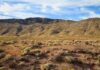 No-Kill Lie Exposed: Mass Graves Unearthed A vast desert landscape with a mountain range under a blue sky