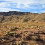 No-Kill Lie Exposed: Mass Graves Unearthed A vast desert landscape with a mountain range under a blue sky