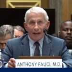 Fifth Amendment Stunner Freezes Hearing Fauci invokes 5th Amendment during Senate testimony