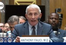 Fifth Amendment Stunner Freezes Hearing Fauci invokes 5th Amendment during Senate testimony