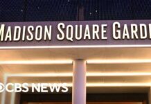 Celebrity ‘Risk’ Tags at Madison Square Garden Madison Square Garden database tracked celebrities' sexuality, race and "risk" level, WIRED reports