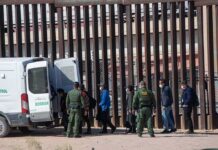 Cartel Crackdown Explodes — 478 Nabbed Border agents escort a group near a tall fence and a patrol van