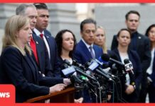 WATCH NOW: Luigi Mangione Admits Murder as Explosive Court Hearing Ends | AB15