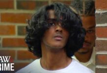 Mother, Brother Dead—ChatGPT Clues Emerge Teen Accused of Killing Family Searched ChatGPT for Murder: DA