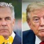 Tariff Shock: Trump Slams Brakes — For Now Canada, U.S. continue talks after Trump pauses threatened 50% tariffs