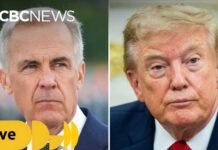 Tariff Shock: Trump Slams Brakes — For Now Canada, U.S. continue talks after Trump pauses threatened 50% tariffs