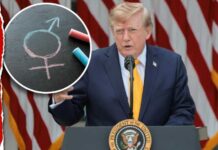 Child Abuse? Trump Targets Classrooms Trump Warns Public Schools: Telling Kids to Become Transgender Is ‘Child Abuse’