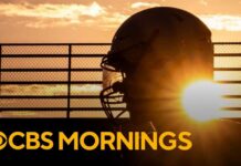 CTE Bombshell Rattles NFL Breaking down the shocking new data on CTE