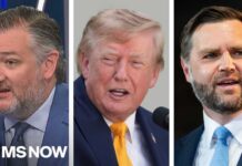 Ted Cruz BOMBSHELL REVELATION: GOP is in middle of 'debate' over 'what we believe'