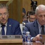 Senate Drops Contempt Hammer On Fauci Watch Live: Senate committee holds Dr. Fauci contempt of Congress vote | Face The Nation