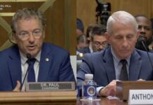 Senate Drops Contempt Hammer On Fauci Watch Live: Senate committee holds Dr. Fauci contempt of Congress vote | Face The Nation