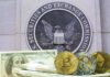 Regulator Opens Door For Trump Stablecoin cryptocurrency coins and cash in front of SEC emblem