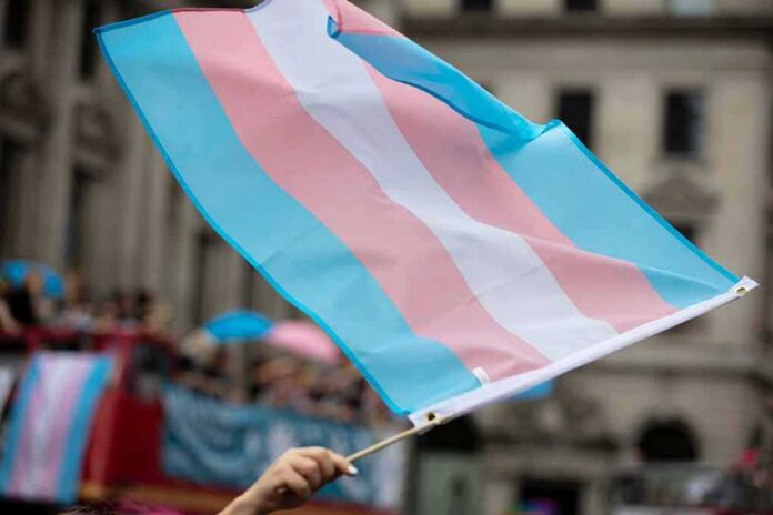 shutterstock_1449773558 Transgender pride flag waving at a parade