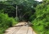 Fallen utility pole blocking a rural road