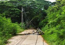 Lights Out Everywhere – What Triggered Cuba’s Crash? Fallen utility pole blocking a rural road