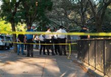 Police officers gather behind yellow tape on a tree-lined sidewalk