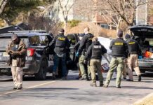 Undercover “Child” Triggers Navy Chief Takedown Police and sheriff officers gather around vehicles on a suburban street
